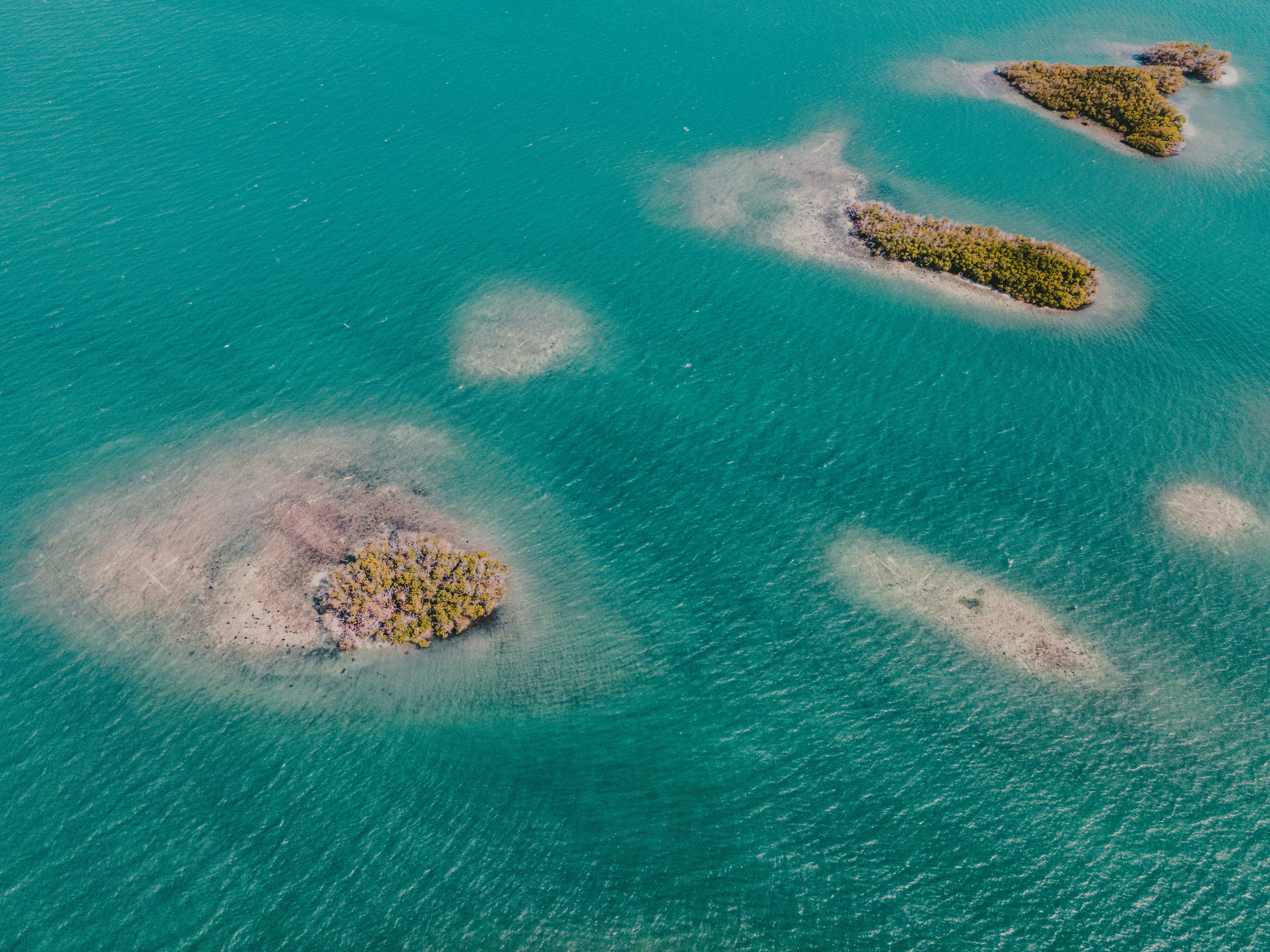 aerial view of green island in the middle of blue sea