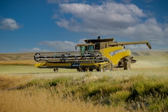 yellow and brown vintage car on brown grass field under blue sky during daytime