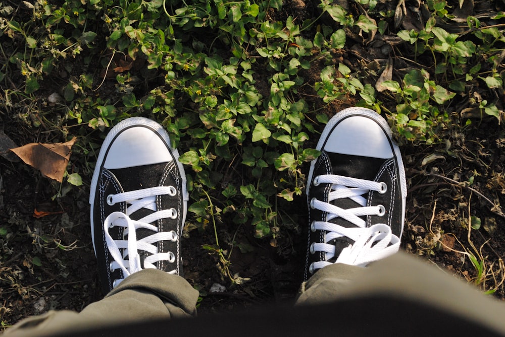 person wearing black and white converse all star high top sneakers