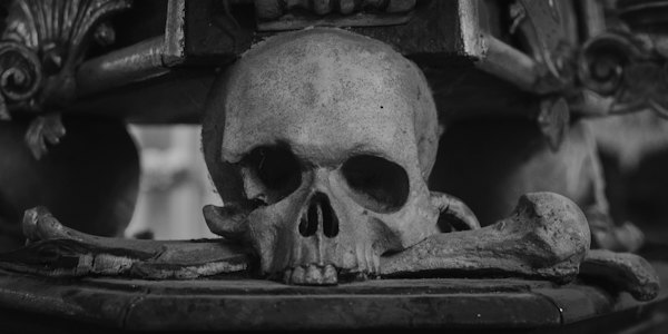 A skull in the Sedlec ossuary — Kutná Hora, Czech Republic