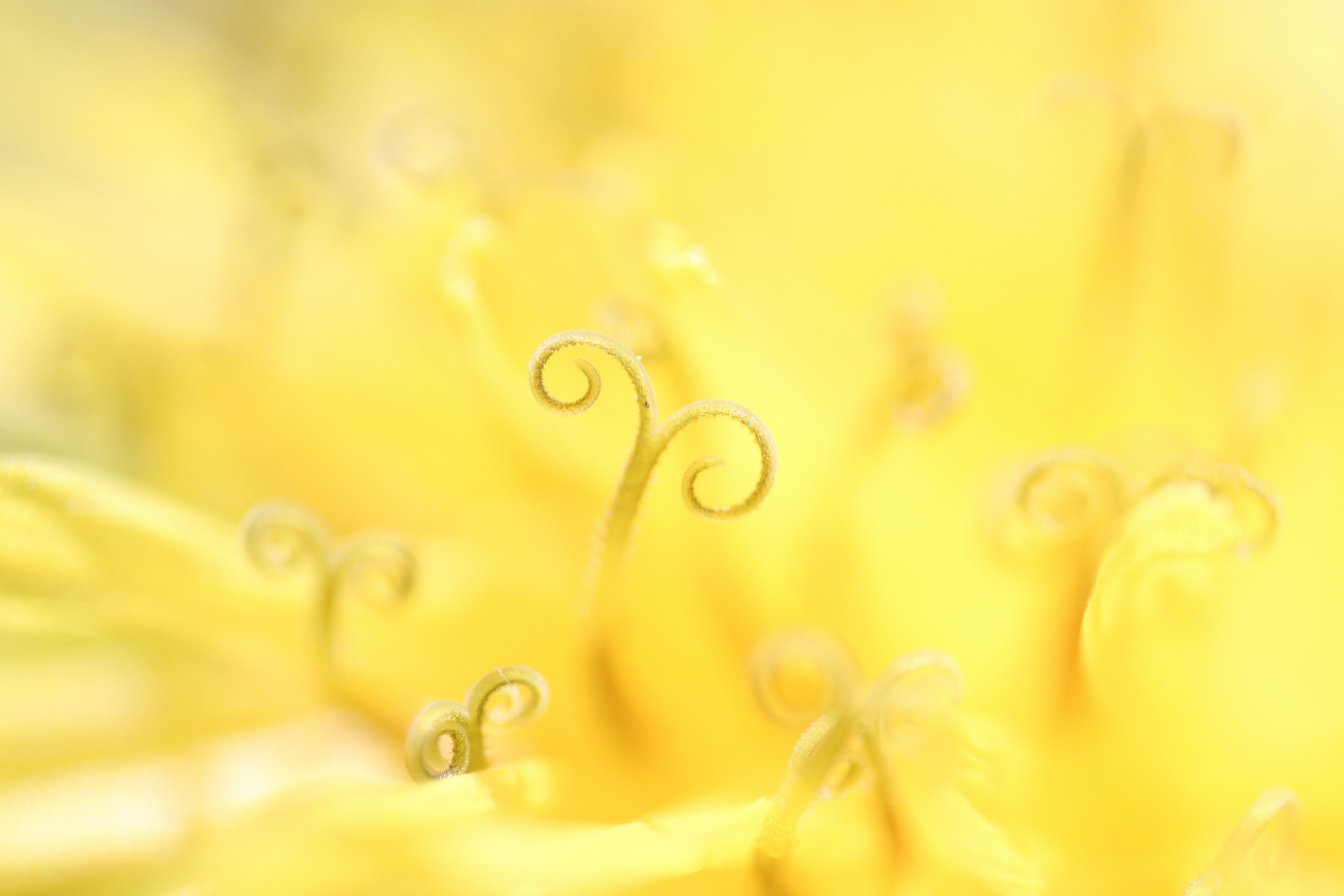 Photo by filmmakerethanhill