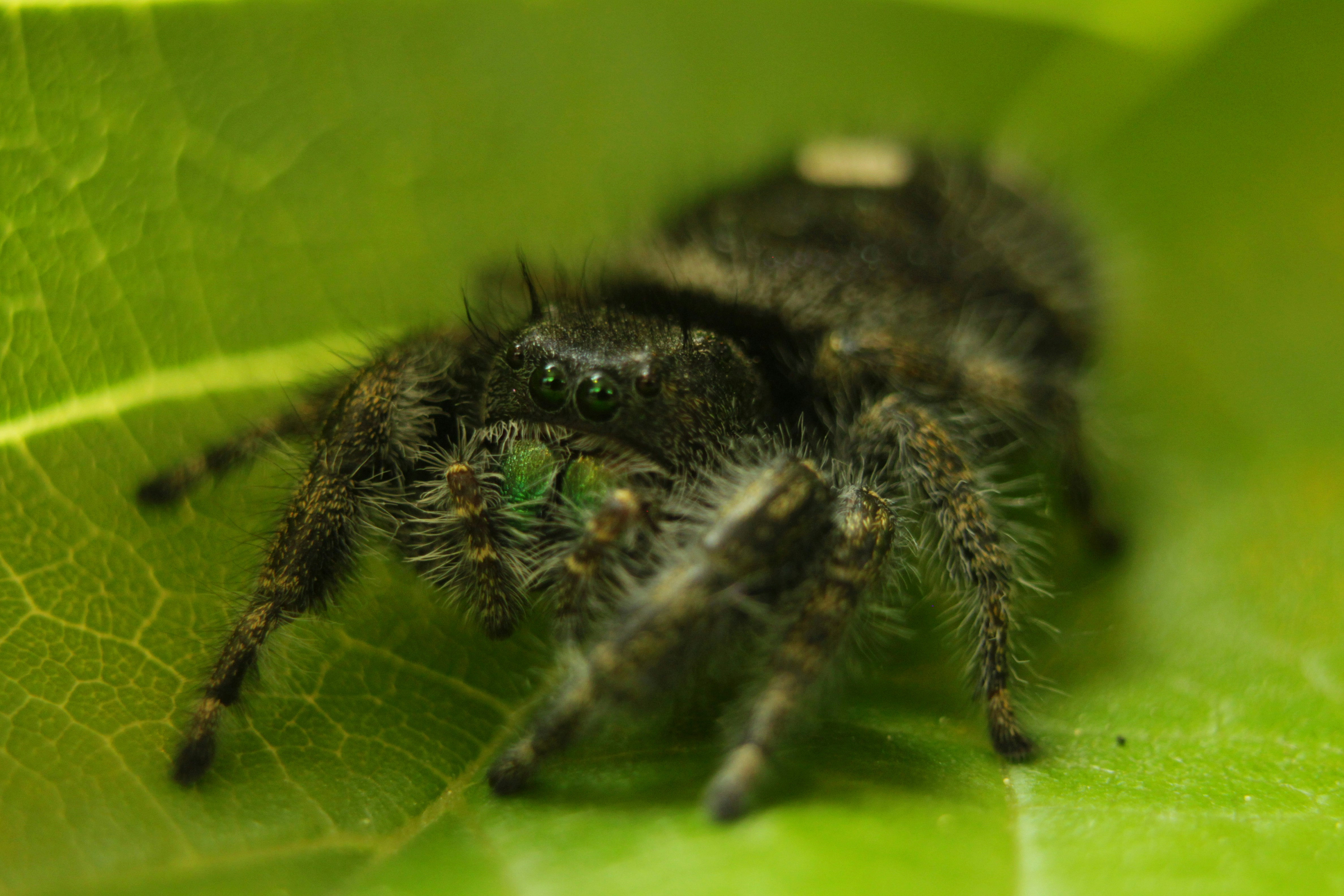 Photo by filmmakerethanhill