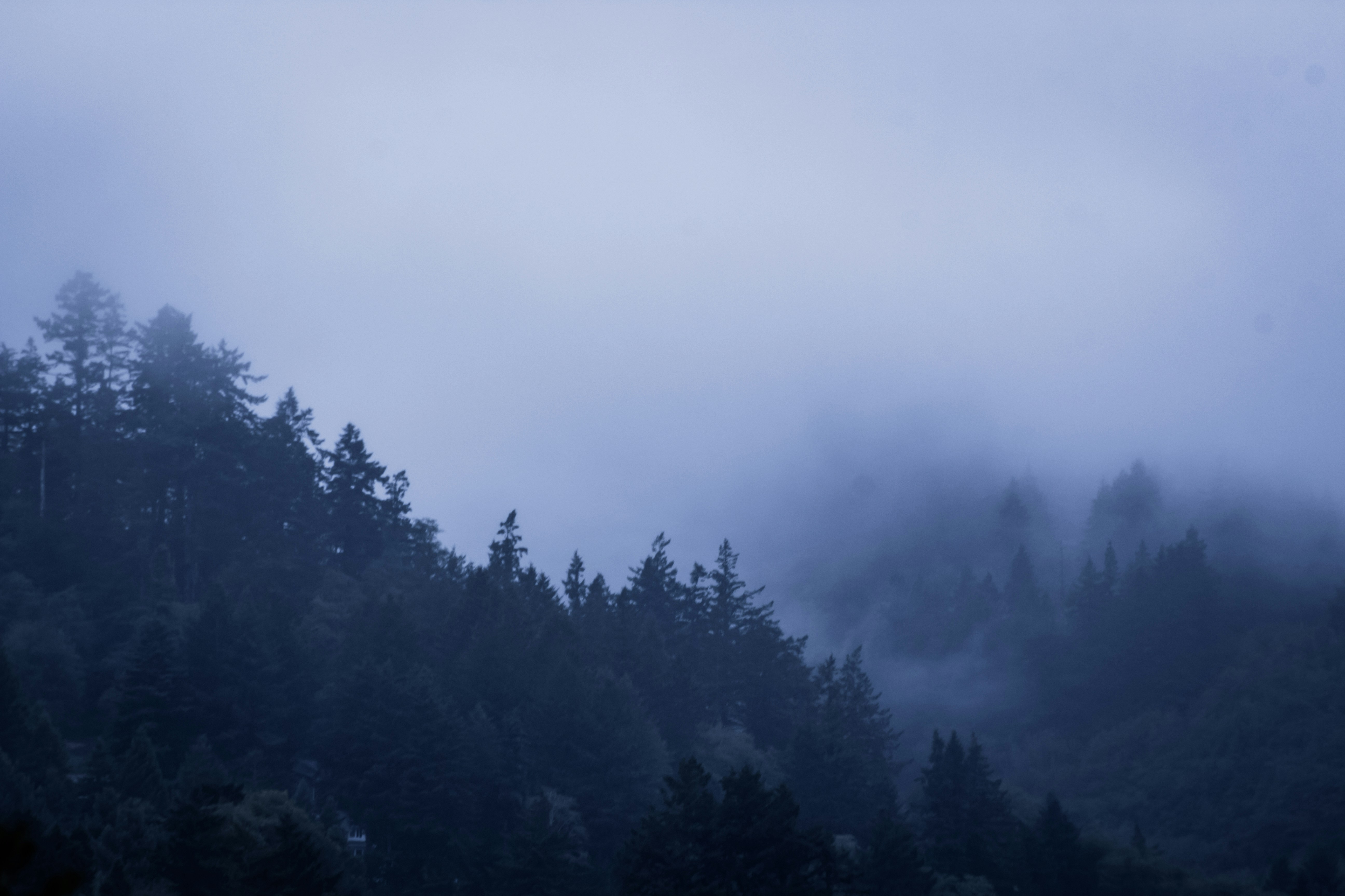 Photo by filmmakerethanhill