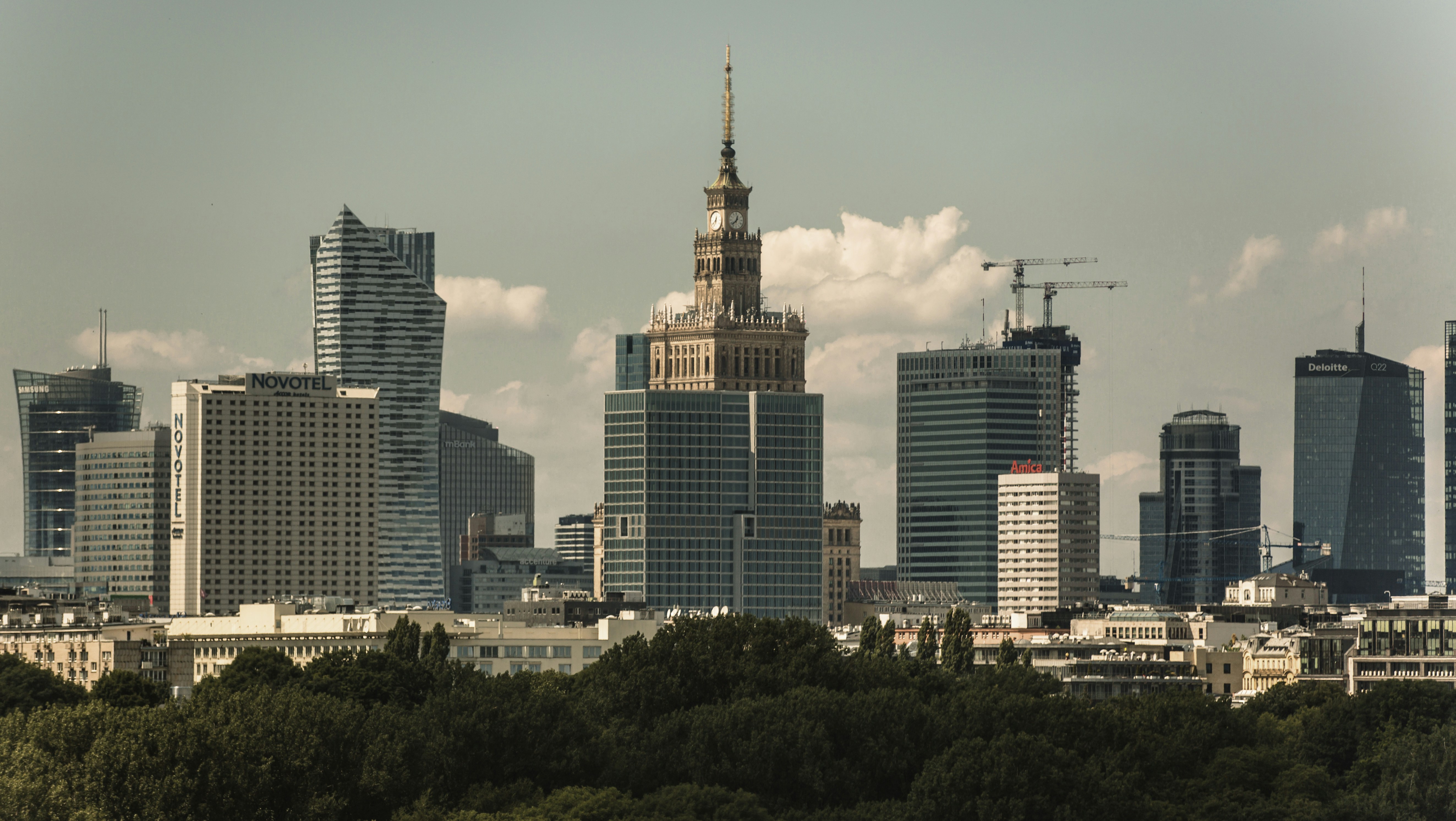 high rise buildings near green trees during daytime