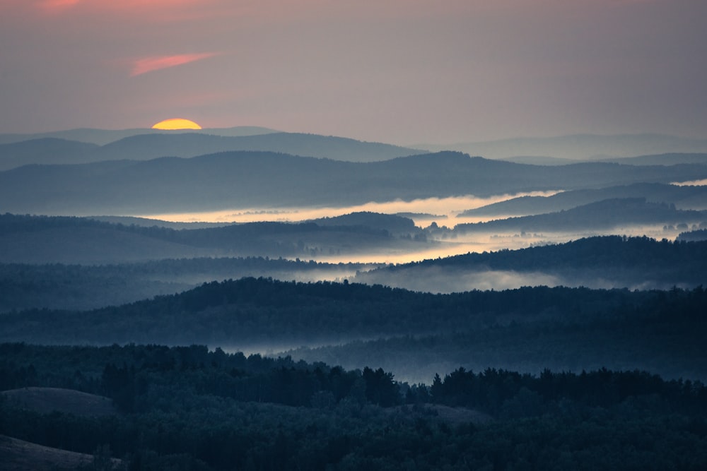 green trees on mountain during sunset