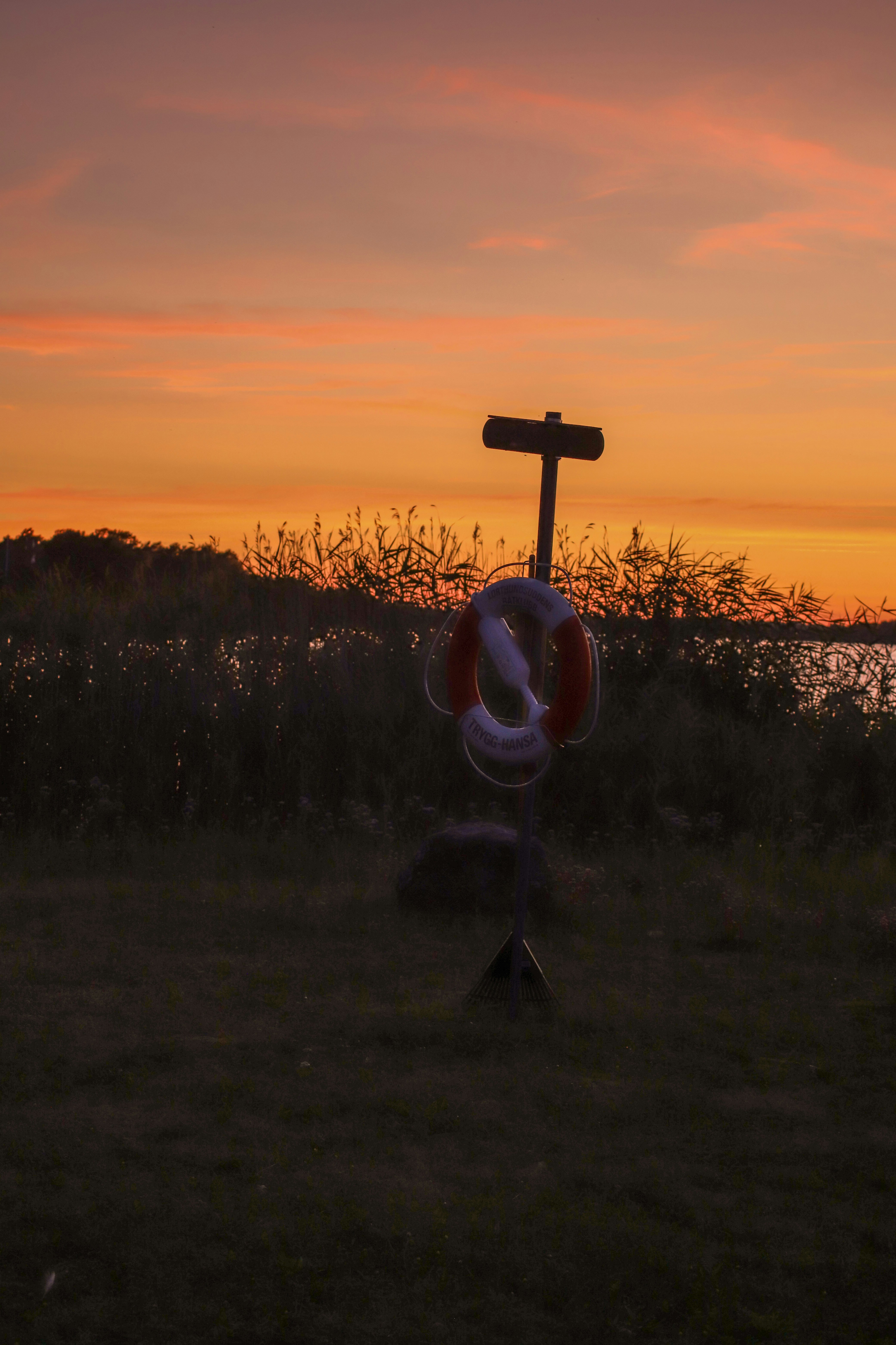 일몰 동안 가로등의 실루엣