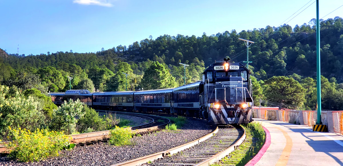 A passenger train rounding a curve through pine forest in the municipality of Urique