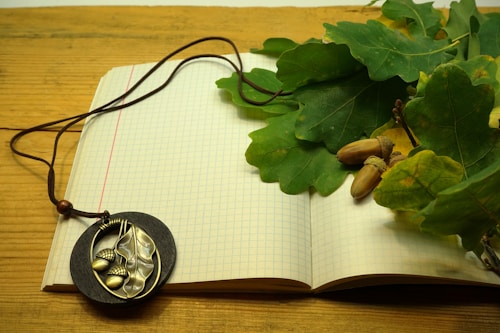 An open notebook with graph paper lies on a wooden surface. A few green oak leaves and acorns rest on top of the notebook, creating a natural autumn theme. A pendant with a leaf and acorn design connected to a thin brown cord is draped across the pages.