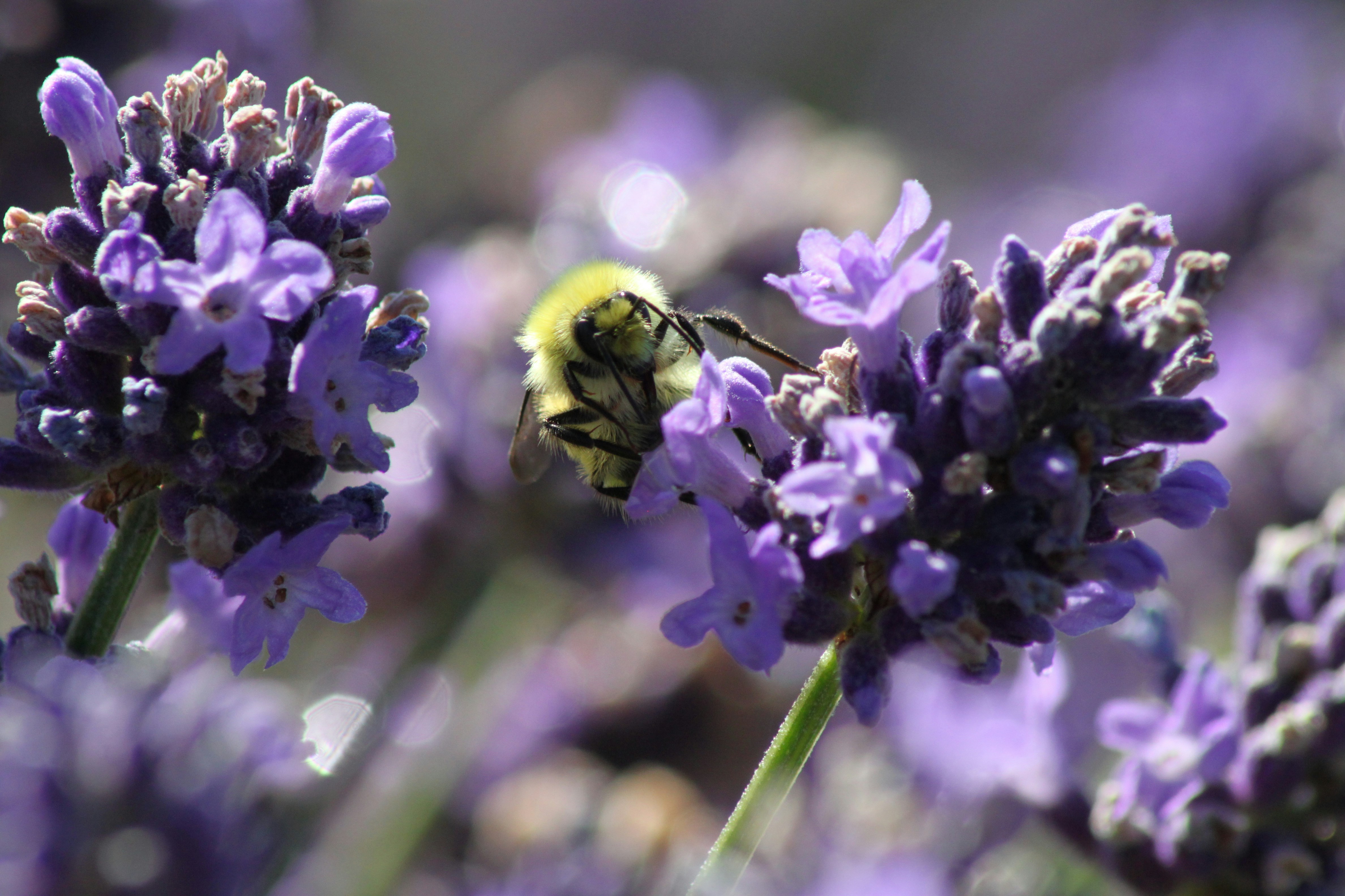 Photo by filmmakerethanhill