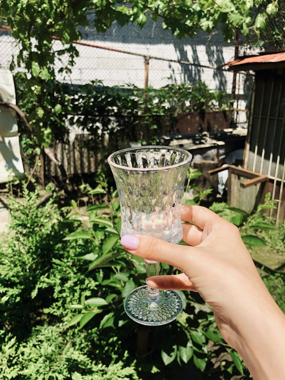 person holding clear drinking glass