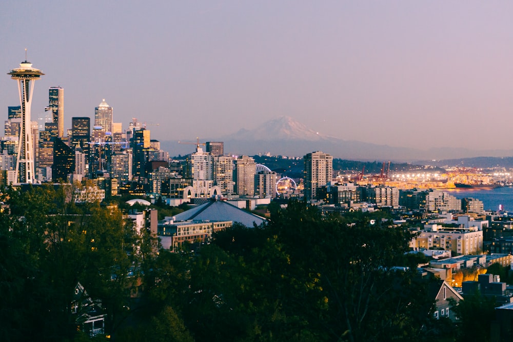 city skyline during night time