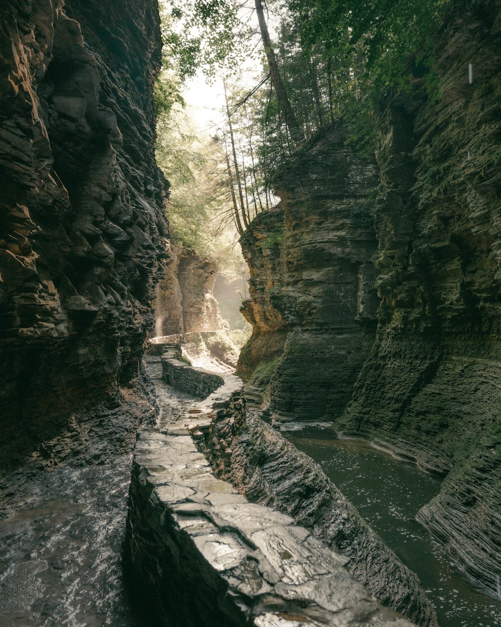 Fiume tra le montagne rocciose durante il giorno