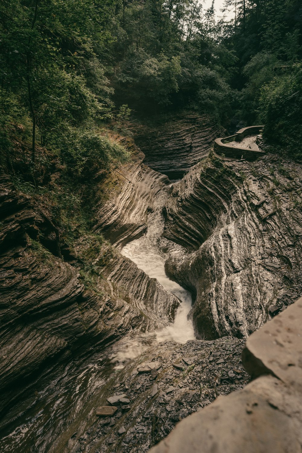 water falls in the middle of the forest