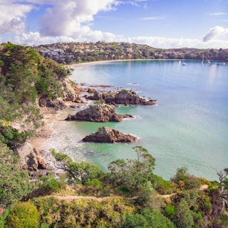 green trees near body of water under white clouds and blue sky during daytime
