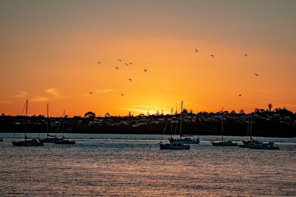 silhouette of boats on sea during sunset