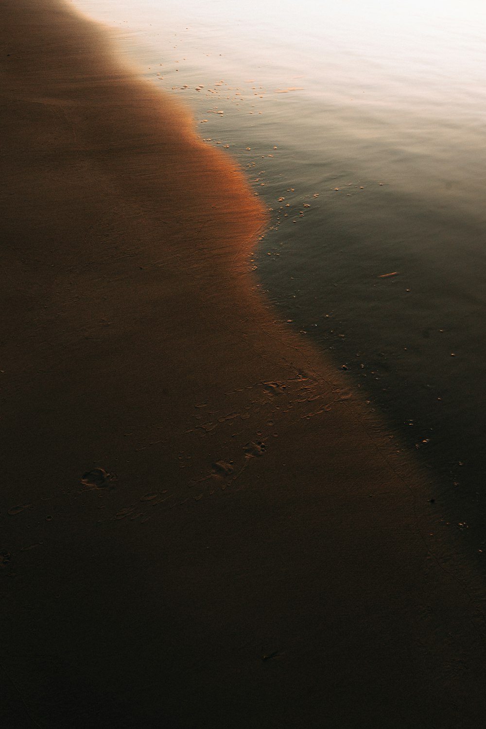 Playa de arena marrón durante la puesta de sol