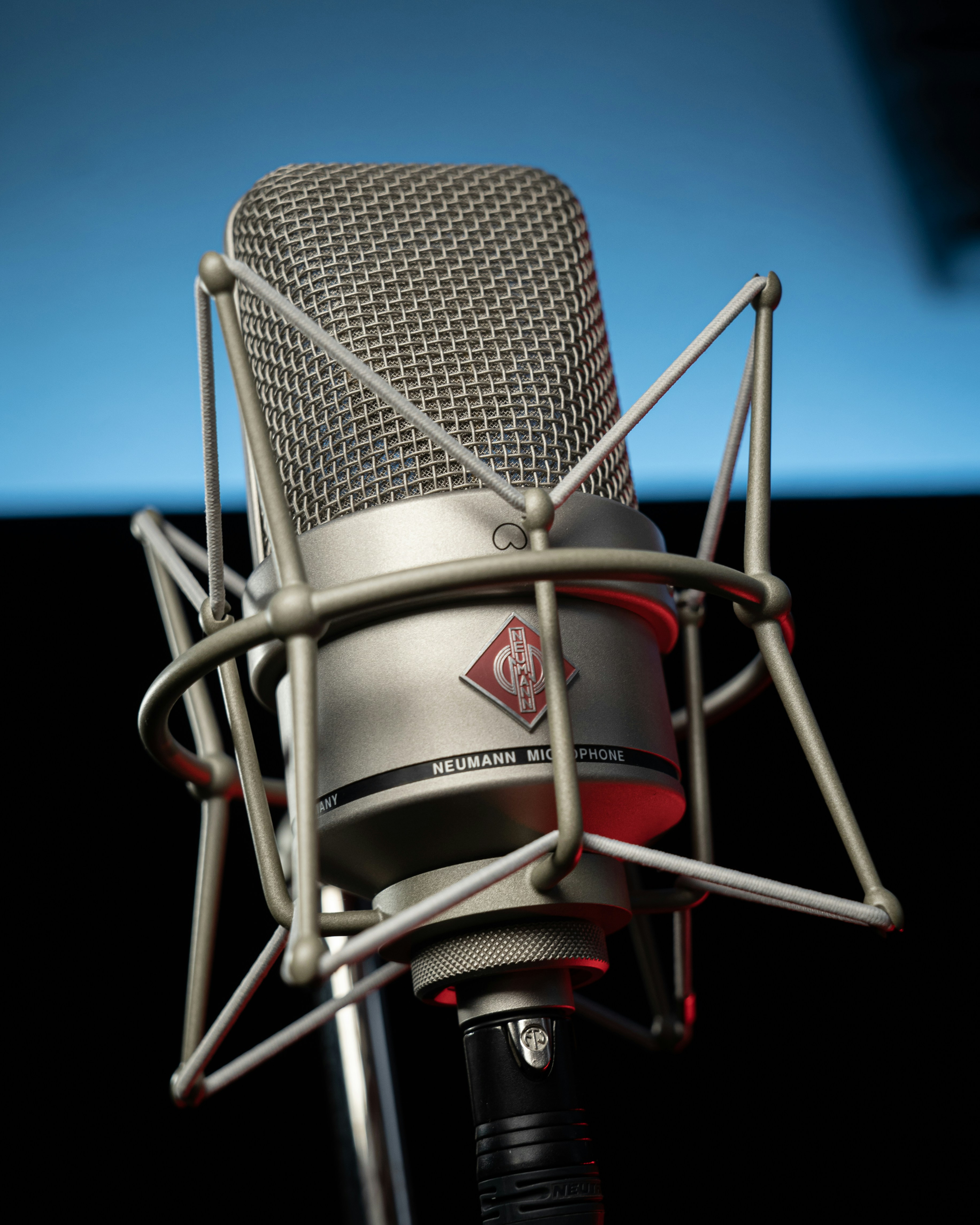 black and silver condenser microphone