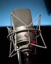 black and silver condenser microphone