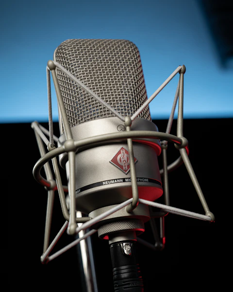black and silver condenser microphone
