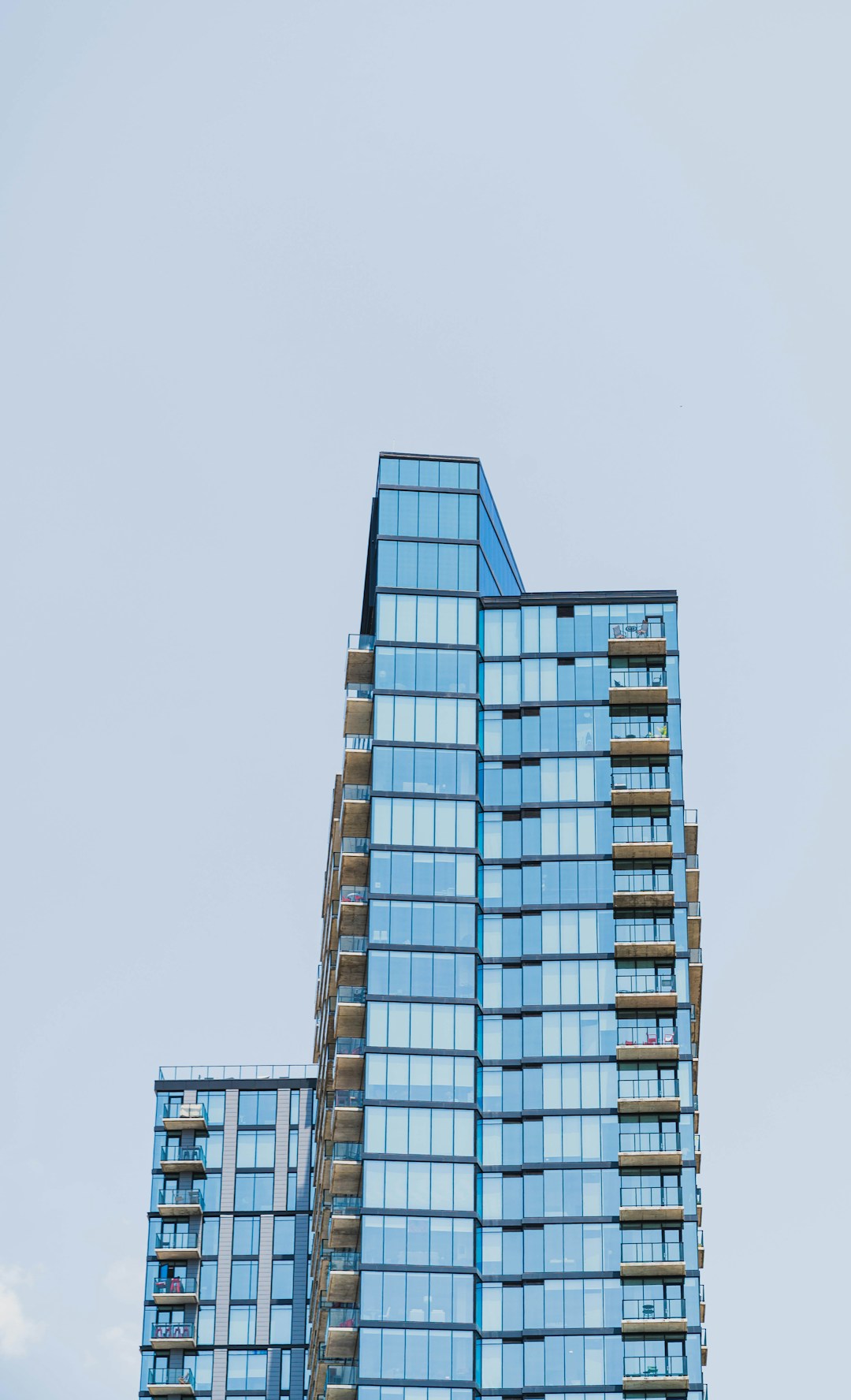 धनु केसरिया बादाम शेक