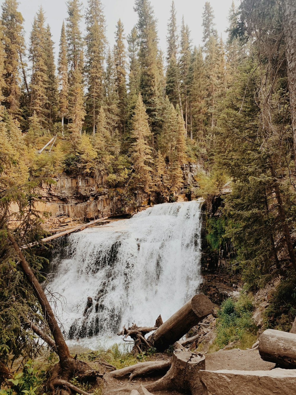 L’eau tombe au milieu de la forêt