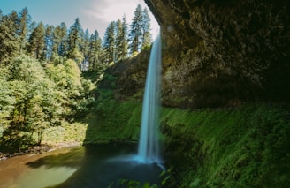 waterfalls in the middle of green trees