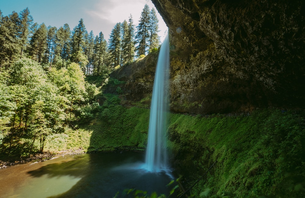 waterfalls in the middle of green trees