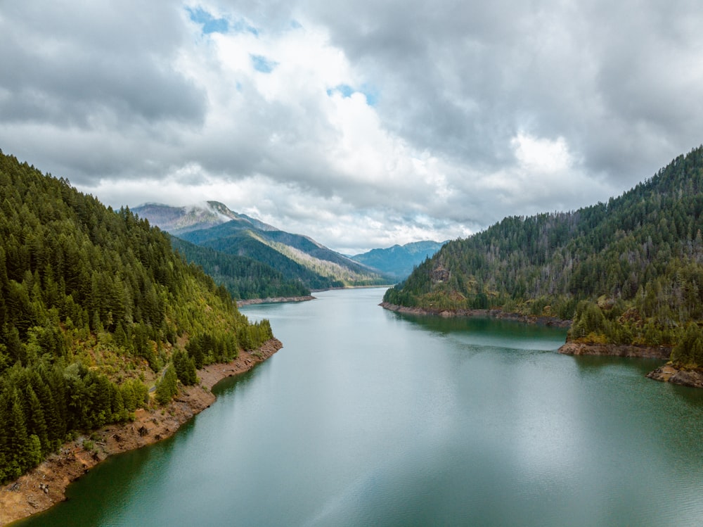 green trees near lake under cloudy sky during daytime