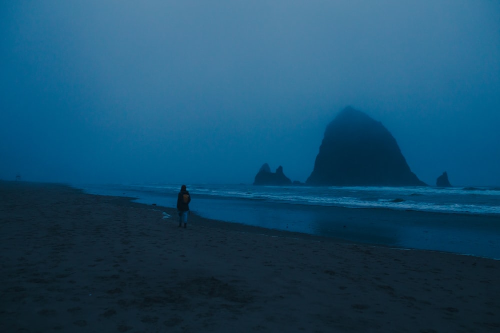 2 people walking on beach during daytime