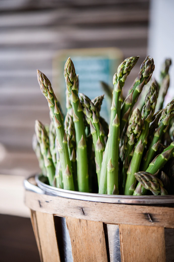 Stems, shoots & aromatics