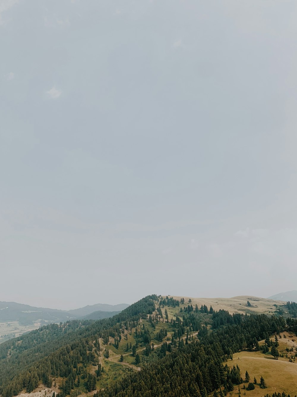 árvores verdes na montanha sob o céu branco durante o dia