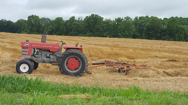 Adjustable Landscape Rake