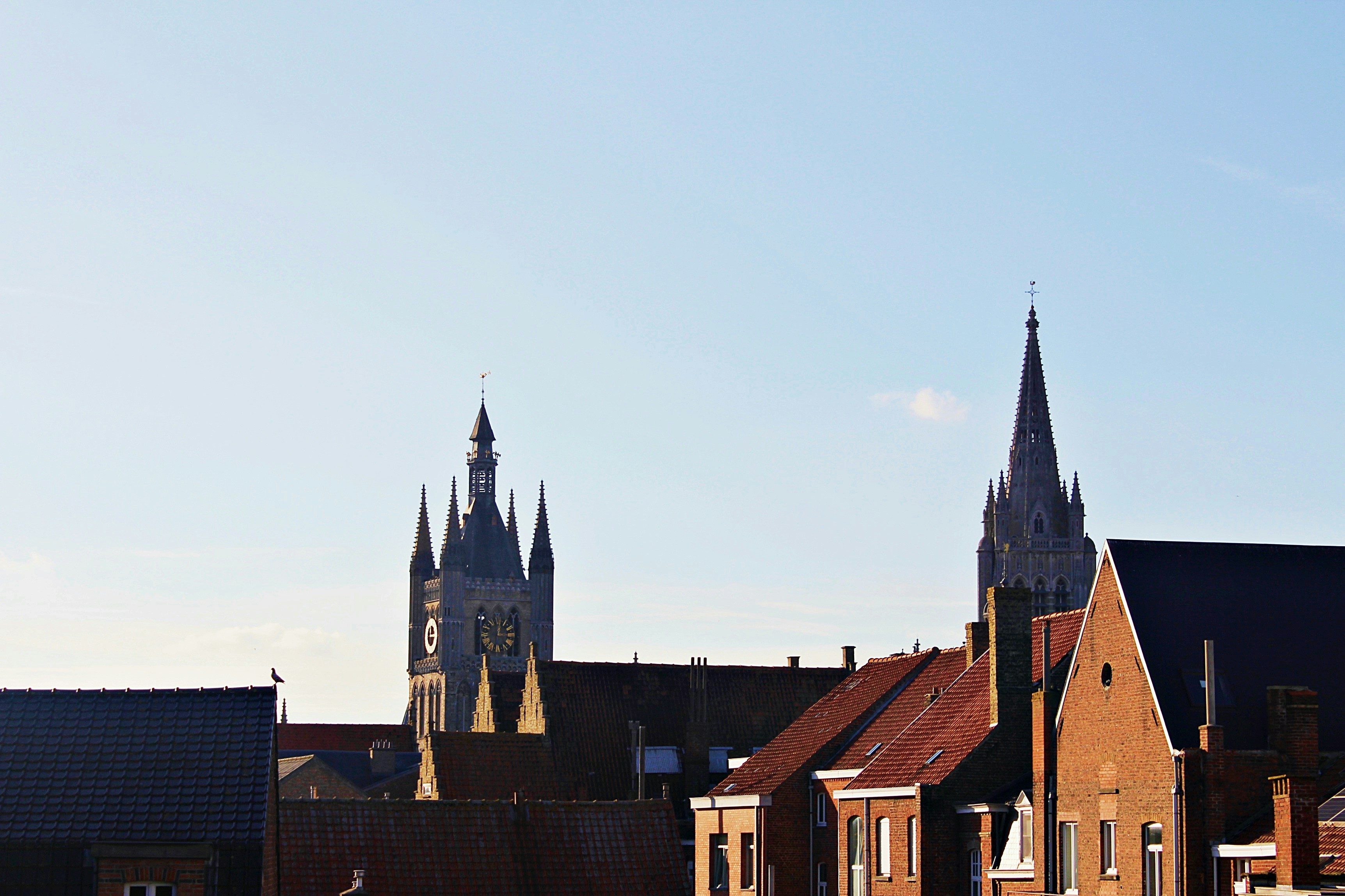 Photo by brandon_cai_hongtao