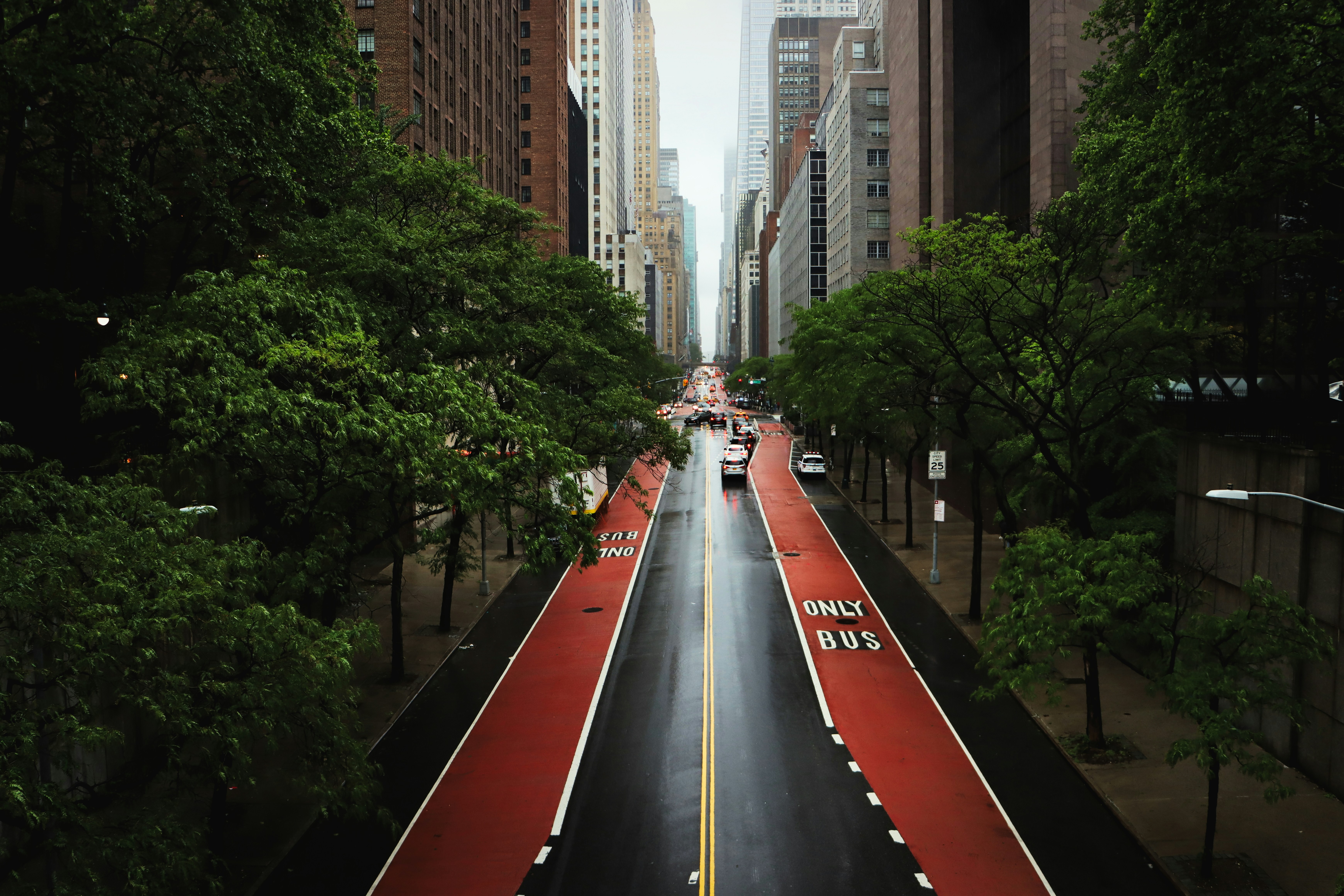 Photo by brandon_cai_hongtao