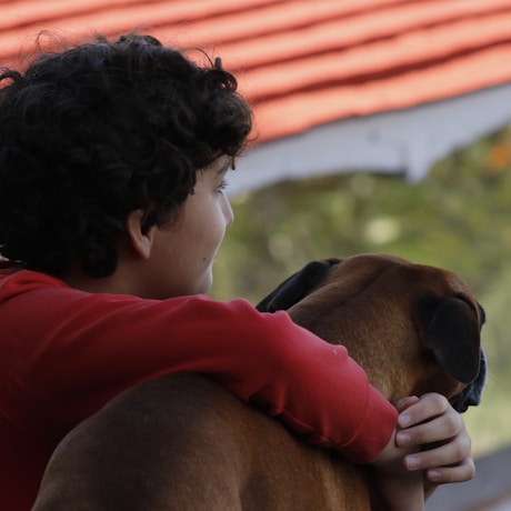 boy in red shirt kissing brown short coated dog