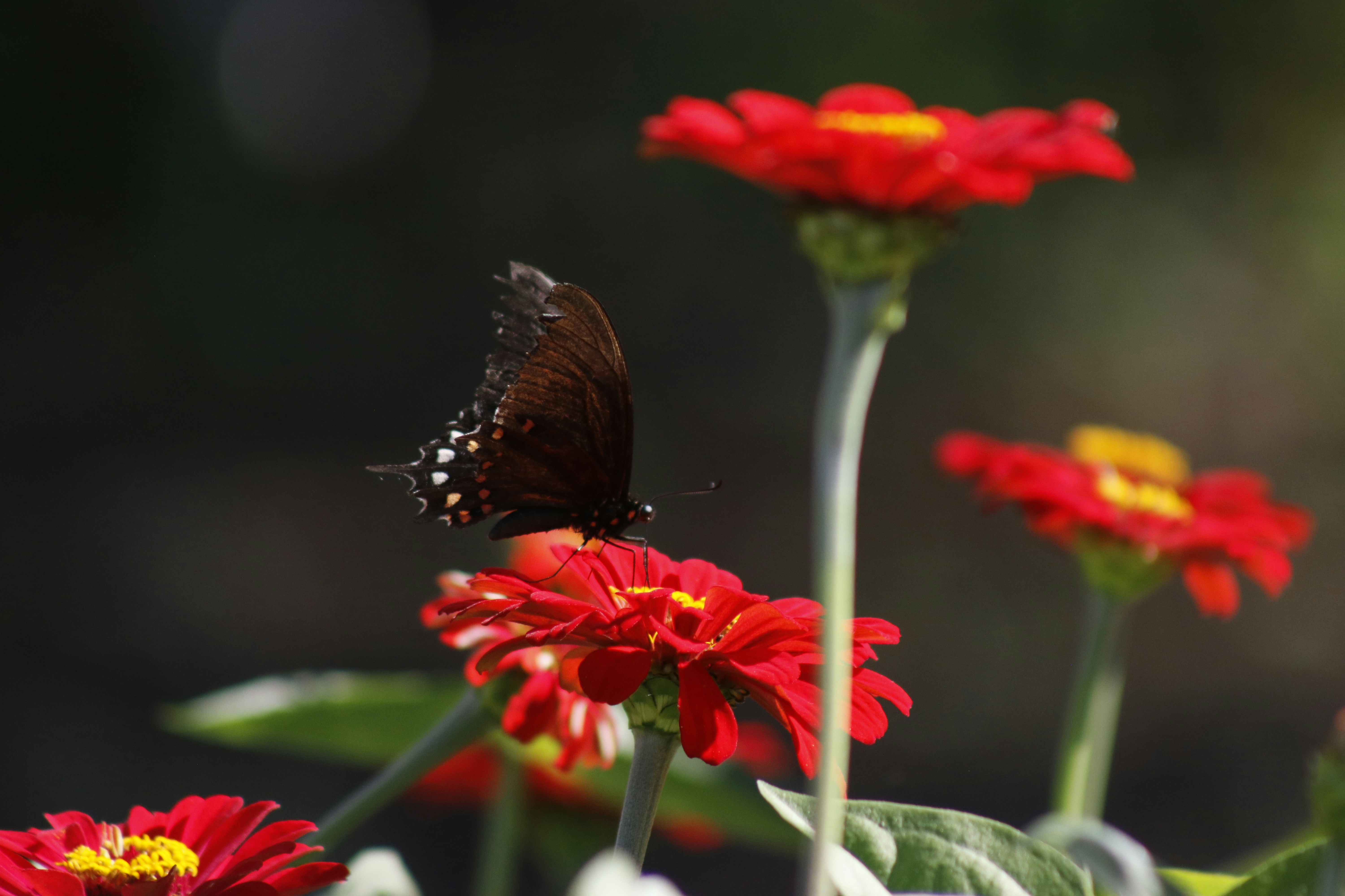 Photo by yaelgonzalez