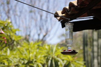 A beautifully crafted decorative bird feeder hanging in a garden.