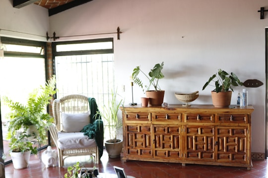 A cozy living room corner featuring a maroon hand-painted cabinet with floral designs.