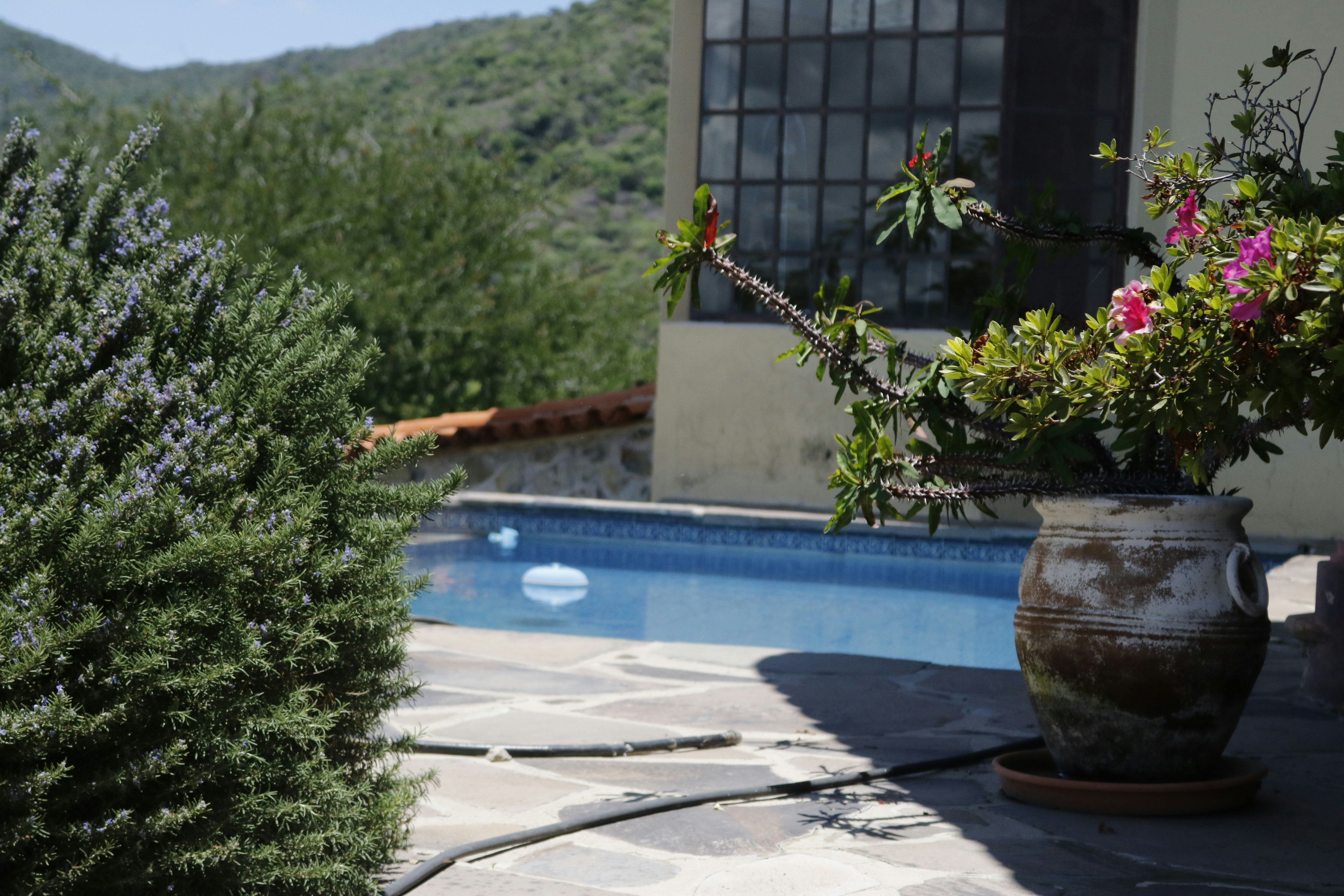 Photo by yaelgonzalez