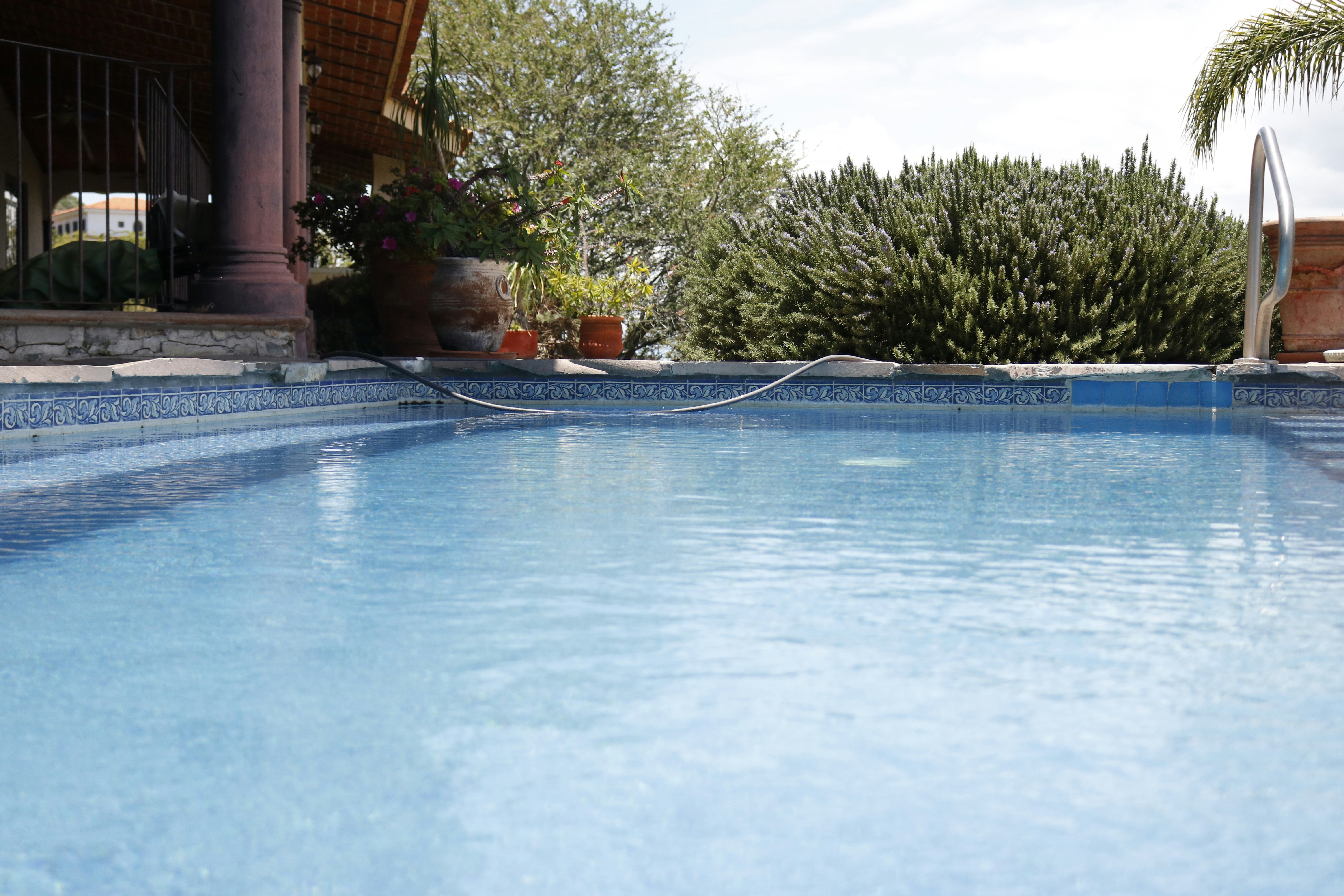 Photo by yaelgonzalez