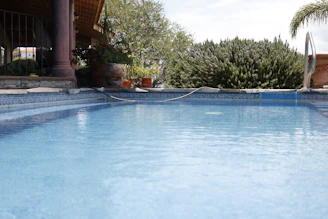 green trees beside swimming pool during daytime
