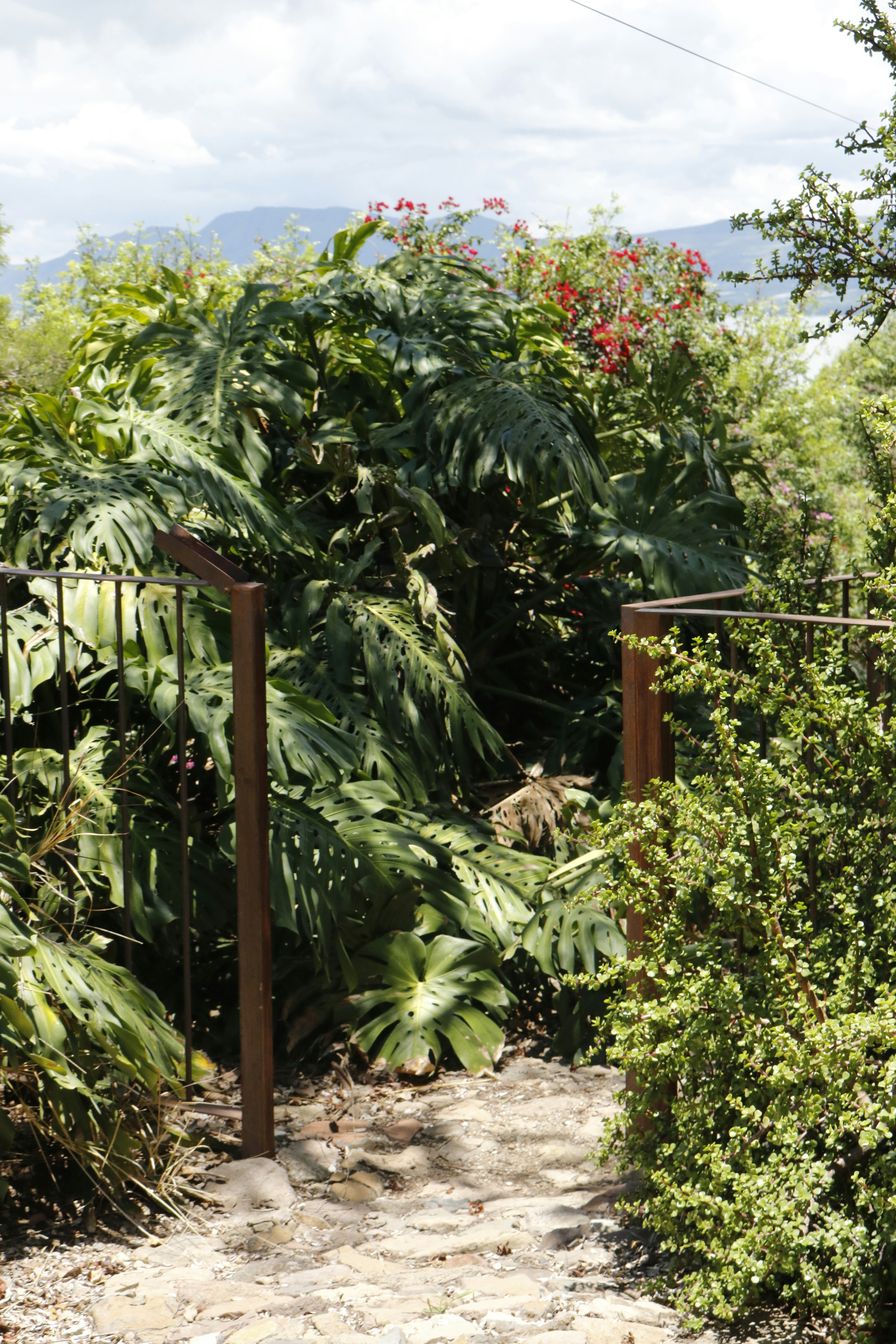 Photo by yaelgonzalez