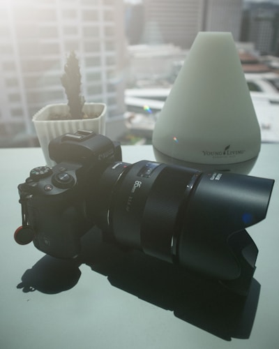 A professional camera with an 85mm lens sits on a reflective surface next to a small potted cactus and a white cone-shaped object with the 'Young Living' logo. The background reveals a cityscape through a window.