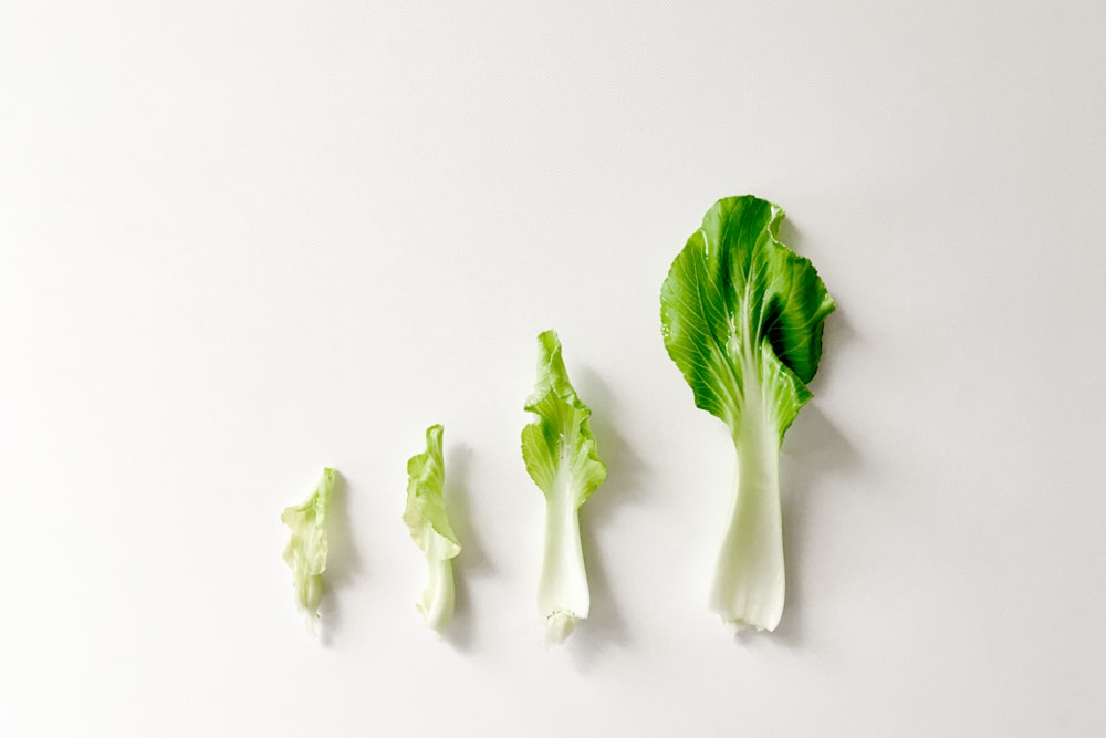 légume vert sur surface blanche