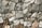 A close-up view of a stone wall made from variously-sized, rough-textured rocks that fit together without visible mortar. The stones range in color from gray to brown, exhibiting natural imperfections and irregular shapes. The overall structure appears solid and rustic.