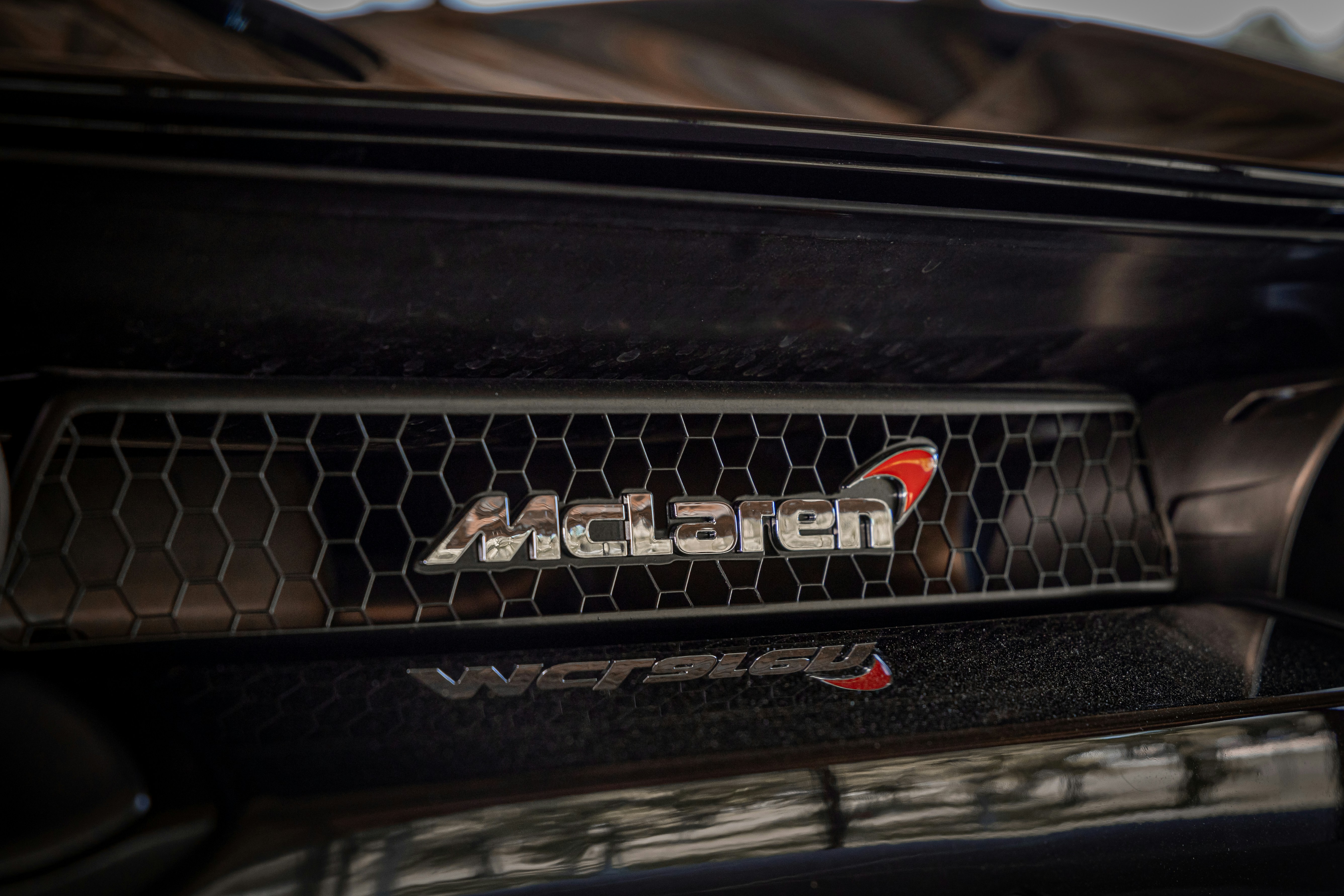 Up close of the rear logo.