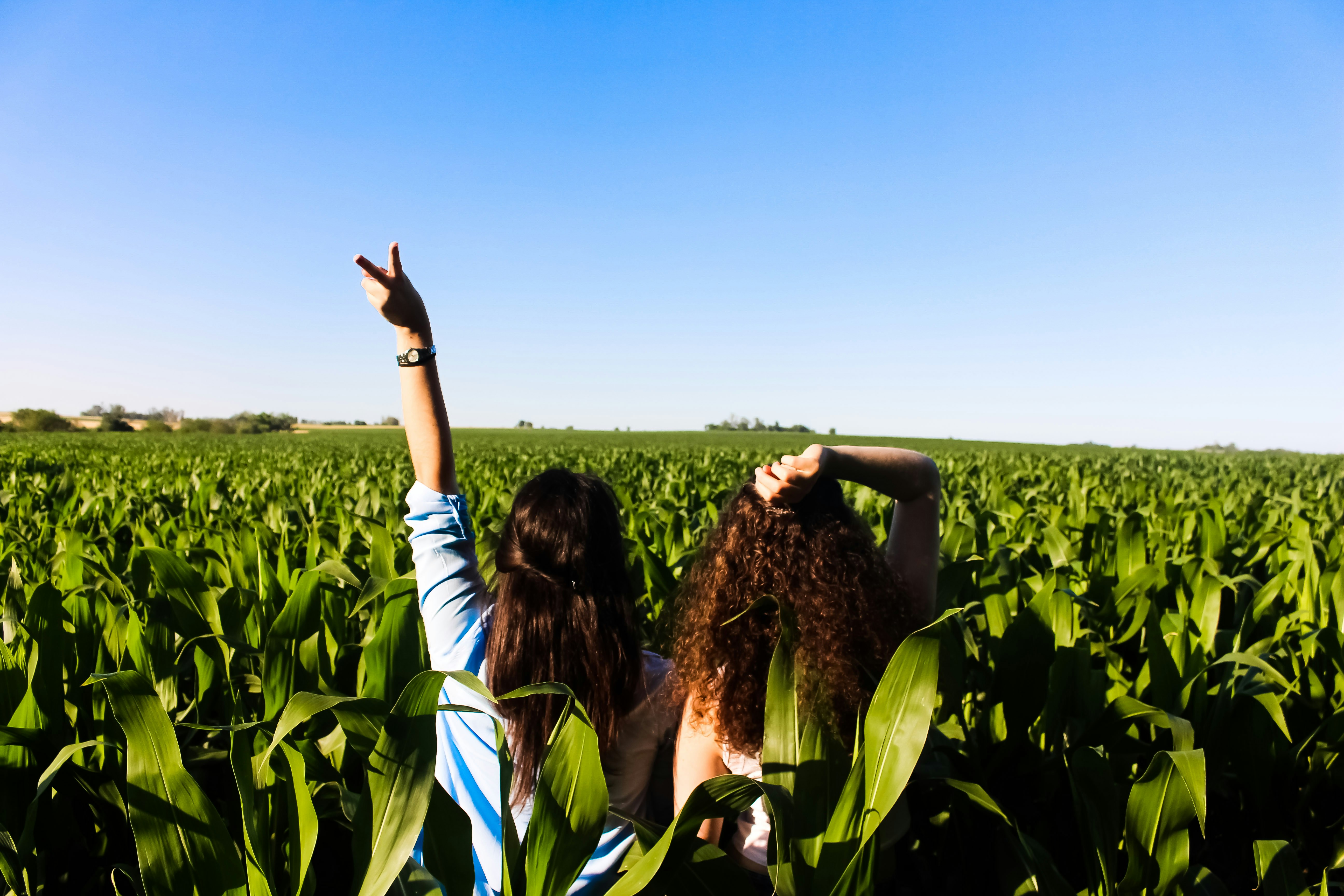 Silk and Shadows: Reunion in the Rain