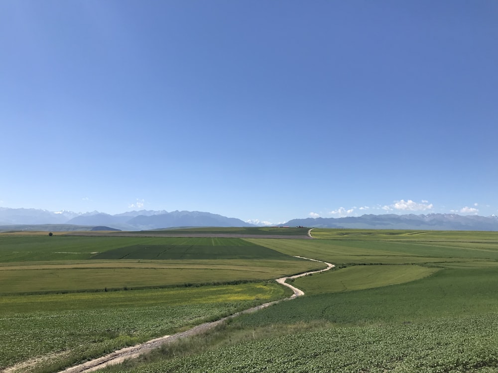 green grass field under blue sky during daytime