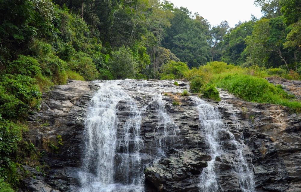 waterfalls in the middle of forest during daytime