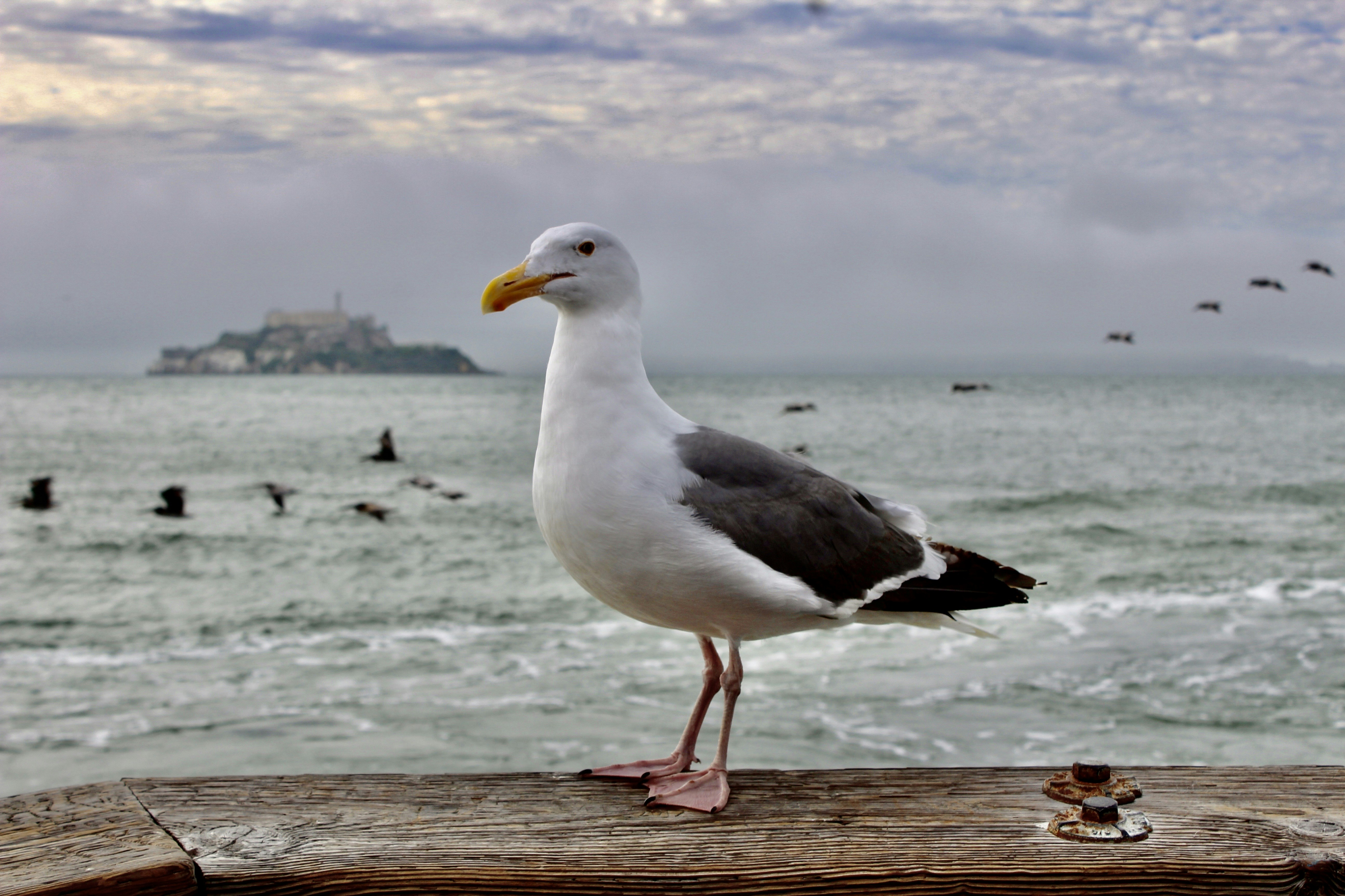 Photo by danielaalejandre